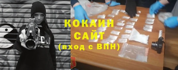 СК Алексин