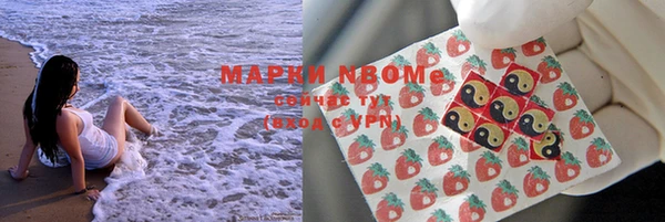 СК Алексин